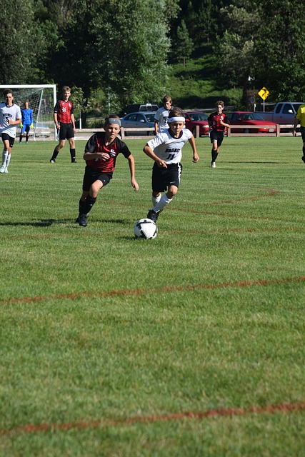 从而让运动 从而让运动