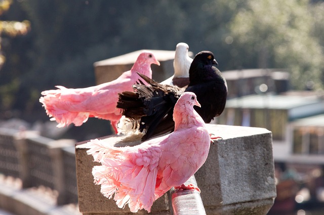 这些土地正 这些土地正