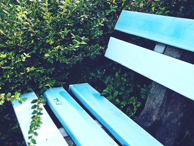 热闹非凡的 热闹非凡的