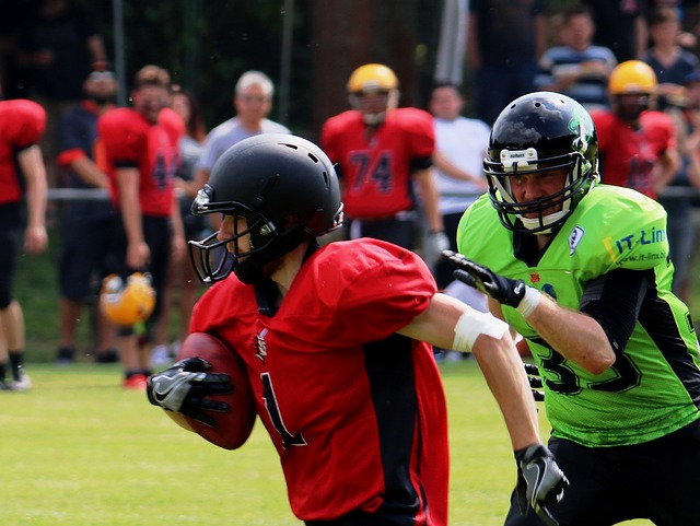 体育人才培 体育人才培