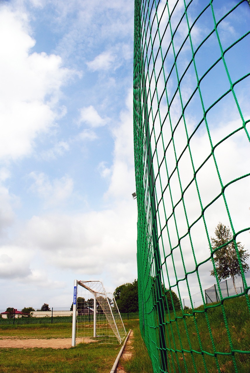 在这场激烈 在这场激烈