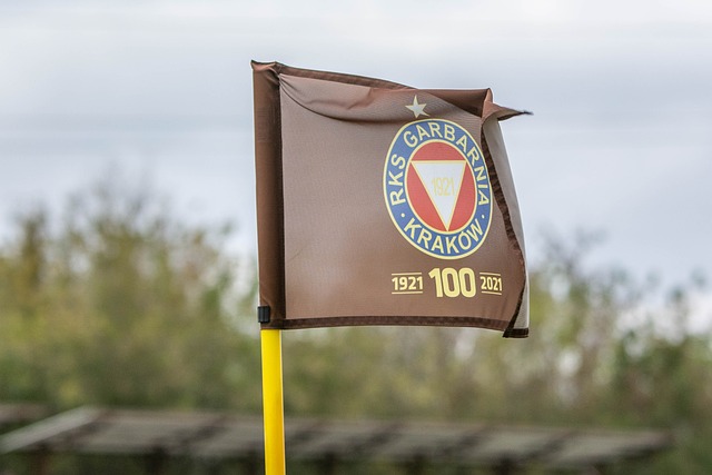 带来更多的 带来更多的