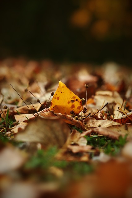 不开专业团 不开专业团