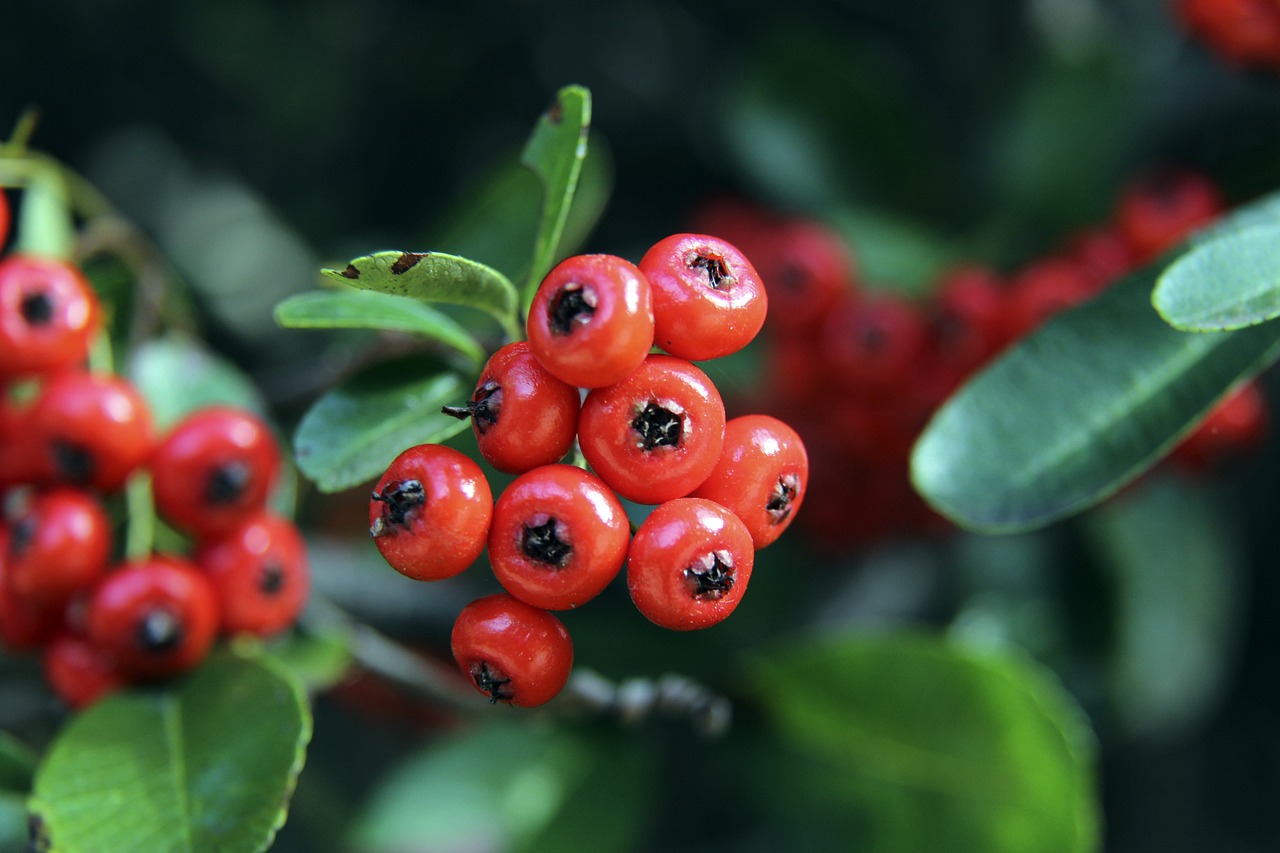 了球迷和教 了球迷和教