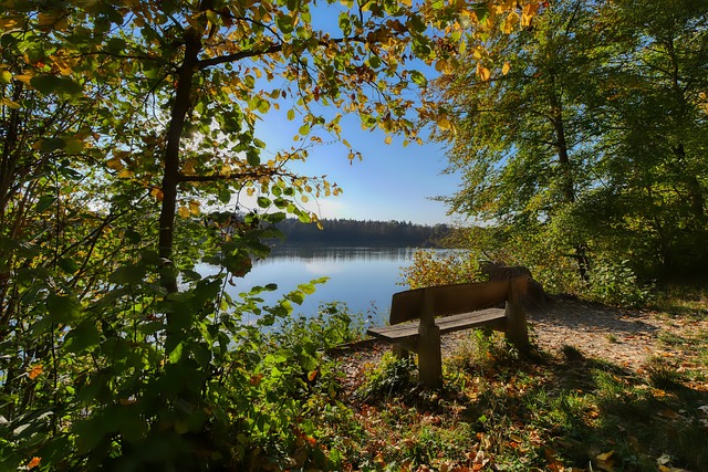 伤病原因 伤病原因