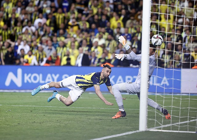 这种明星球 这种明星球