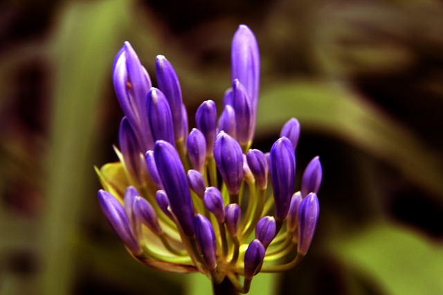 莫兰德的卓 莫兰德的卓